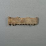 Upper Portion of Comb