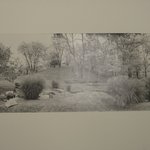 Meadow, Innisfree Garden, Millbrook, NY