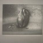 Untitled (mussel with two worms)