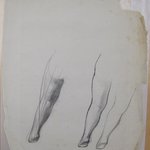 [Untitled] (Legs)