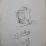 [Untitled] (Nude Female Upper Torso and Two Hands)