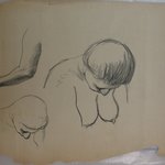 [Untitled] (Bust and Head of a Nude Woman)