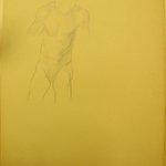 [Untitled] (Male Torso)