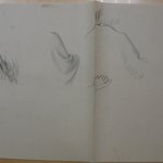 [Untitled] (Two Studies of a Shoulder)
