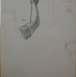 [Untitled] (Right Arm with Sleeve)