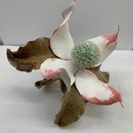 Dogwood Flower