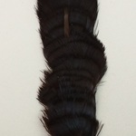 Feather on Stick