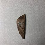 Toilet Spoon Fragment