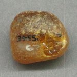 Piece of Amber