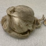 Ball of Wool