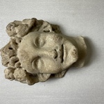 Head