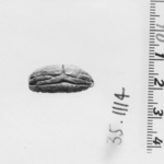 Scarab of Redi-ni-ptah