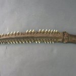 Shark Teeth Sword