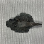Fragment of the Base of a Broad Knife
