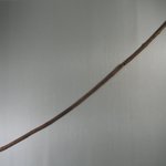 Slender Curved Stick