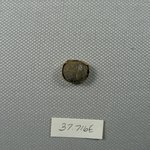 Small Scarab Amulet