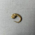 Small Loop Earring with Lions Head