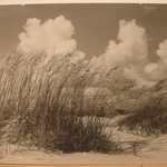 Reeds and Sand