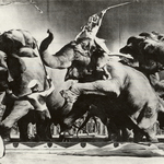 Elephant Act