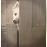 Peeping Tom