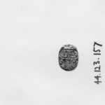 Scarab
