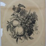 [Still Life with Apples, Grapes, and Morning Glories]