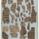 Papyrus Fragments Inscribed In Demotic