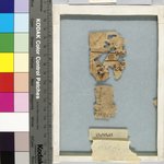 Parchment and Papyrus Fragments Inscribed in Several Scripts