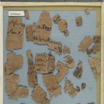 Papyrus Fragments Inscribed in Demotic and Greek