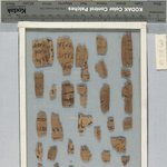 Papyrus Fragments Inscribed in Hieratic and Demotic