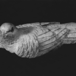 Pigeon Carved in Bone