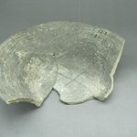 Bowl Fragment
