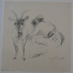 Woman, Milking Goat (Urfeld) (Frau, Ziege melkend [Urfeld])