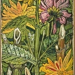 Vertical of Dahlias without Stalks I