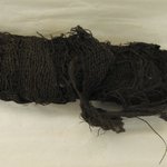 Burial Shroud, Fragment or Stick with Coarse Fiber on it, Fragment