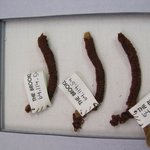 3 Textile Fragments, undetermined