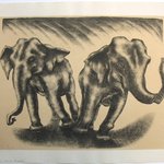 Dancing Elephants