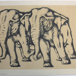 Two Elephants