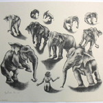 Ten Elephants