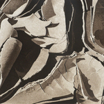 Cracked Earth