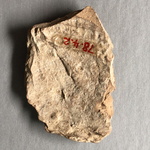 Fragment of Clay Envelope