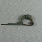 Fibula