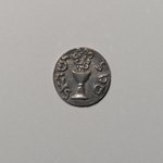 Coin: "False" Shekel