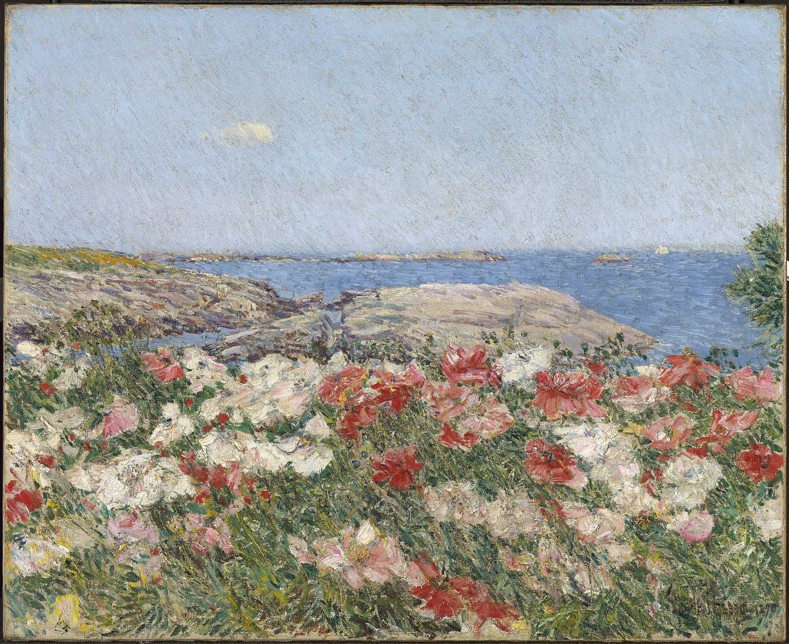 1891 by Childe Hassam Seascape Art Print Poster 24x28 Poppies Isles of Shoals 