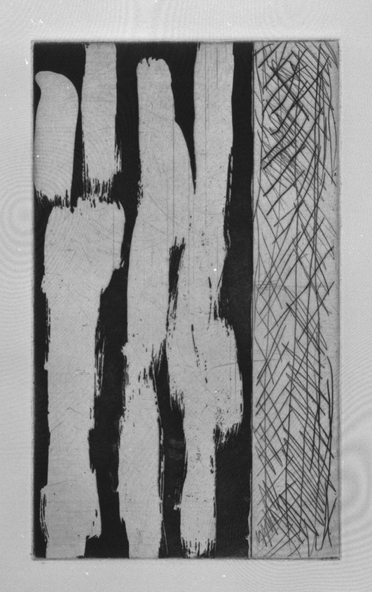 Günther Förg (German, 1952 - 2013). <em>[Untitled]</em>, 1989. Etching, aquatint and drypoint, Sheet (folio): 14 5/8 x 12 3/4 in. (37.1 x 32.4 cm). Brooklyn Museum, Helen Babbott Sanders Fund and John W. James Fund, 1990.123.1. © artist or artist's estate (Photo: Brooklyn Museum, 1990.123.1_bw.jpg)