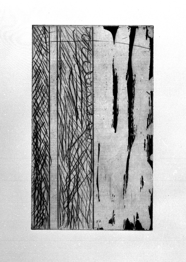 Günther Förg (German, 1952 - 2013). <em>[Untitled]</em>, 1989. Etching, aquatint and drypoint, Sheet (folio): 14 5/8 x 12 3/4 in. (37.1 x 32.4 cm). Brooklyn Museum, Helen Babbott Sanders Fund and John W. James Fund, 1990.123.4. © artist or artist's estate (Photo: Brooklyn Museum, 1990.123.4_bw.jpg)