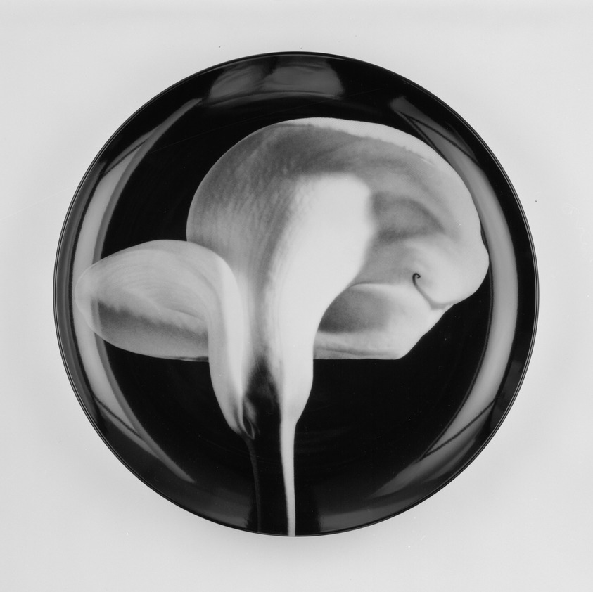 Robert Mapplethorpe (American, 1946-1989). <em>Plate, "Calla Lily,"</em> 1989. Porcelain, 1 3/4 x 12 x 12 in. (4.4 x 30.5 x 30.5 cm). Brooklyn Museum, Gift of Swid Powell, 1990.34.4 (Photo: Brooklyn Museum, 1990.34.4_view1_bw.jpg)