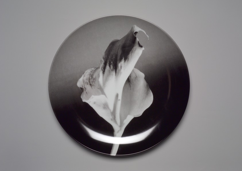Robert Mapplethorpe (American, 1946-1989). <em>Plate, "Flower,"</em> 1989. Porcelain, 1 1/4 x 12 x 12 in. (3.2 x 30.5 x 30.5 cm). Brooklyn Museum, Gift of Swid Powell, 1990.34.5 (Photo: Brooklyn Museum, 1990.34.5.jpg)