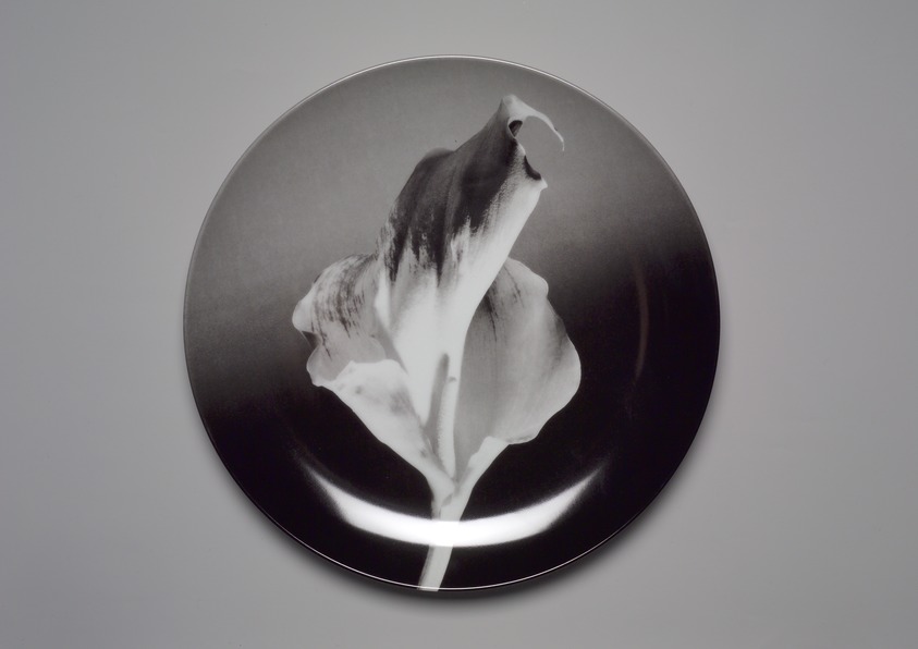 Robert Mapplethorpe (American, 1946–1989). <em>Plate, "Flower,"</em> 1989. Porcelain, 1 1/4 x 12 x 12 in. (3.2 x 30.5 x 30.5 cm). Brooklyn Museum, Gift of Swid Powell, 1990.34.5 (Photo: Brooklyn Museum, 1990.34.5.jpg)