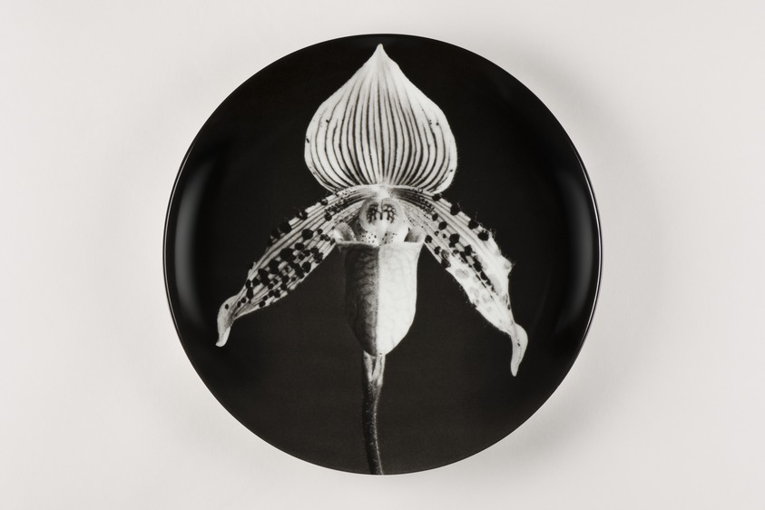 Robert Mapplethorpe (American, 1946–1989). <em>Plate, "Orchid,"</em> 1989. Porcelain, 1 3/8 × 12 × 12 in. (3.5 × 30.5 × 30.5 cm). Brooklyn Museum, Gift of Swid Powell, 1990.34.6 (Photo: Brooklyn Museum, 1990.34.6_PS22.jpg)